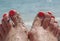 Nail polish on your toes at the beach with sand and shells on th