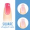 Nail shape square