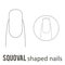 Nail shape squoval