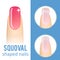 Nail shape squoval