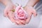 Nails, hands, rose close-up. Natural manicure nails.