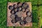 Nails and screws in rusty cans on a wood grass background