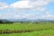 Naivasha township seen from Eburru Hill, Naivasha, Rift Valley