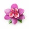 Naive Charm: Orchid Flower 3d Vector Illustration With Traditional Balinese Motifs