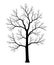 Naked tree. Silhouette of dead trees isolated on white background. Black and white. vector illustration