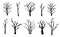 Naked trees silhouettes set. Hand drawn isolated illustrations.