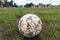 Nakhon Ratchasima, Thailand - October 1 : Muddy soccer ball on a football field in Municipal Stadium Nakhon Ratchasima on October