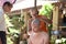 Nakhonnayok-Thailand ,July 3 : Shaved ordained Buddhist ceremony