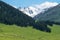 Nalati grassland with the blue sky