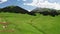 Nalati grassland and mountains in a fine day