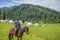 Nalati Grassland of Xinjiang, China