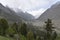 Naltar Valley( Gilgit Baltistan).