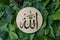 Name of Allah in arabic on gold wood, green leaves and dates fruit background. Calligraphy means the God Al Mighty of
