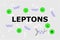 Name of fermions called leptons in the center