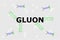 Name of gauge boson gluon in the center with green spirals