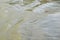 Namedy, Germany - 06 29 2021: muddy waves of the Rhine flood