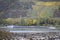 Namedy, Germany - 10 27 2020: cargo ship passing in front of colorful autumn vineyards