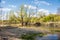 Nameless lake on a summer day