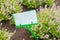 Nameplate and plant information in public garden