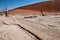 Namib desert