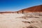 Namib desert