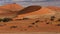 Namib desert, Africa