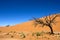 Namib Desert, Namib-Naukluft Park, Sossusvlei Dunes, Namibia