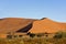 Namib Desert, Namib-Naukluft Park, Sossusvlei Dunes, Namibia