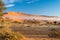 The Namib desert, roadtrip in the wonderful Namib Naukluft National Park, travel destination in Namibia, Africa. Braided Acacia tr