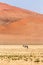 Namib Desert, Sossusvlei at sunset