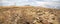 Namib Desert to solitaire