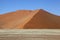 Namib Dune