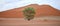 Namib landscape