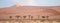 Namib landscape