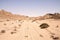 Namib Landscape