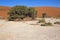 Namib-Nuakluft Desert - Namibia