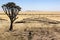 Namib-nuakluft Desert - Namibia