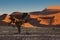 Namib-nuakluft Desert - Sossusvlei - Namibia