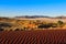 Namib Rand Nature Reserve (Namibia)