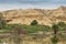 Namibe Arch is an oasis in the desert that usually fills every 6 years depending on the rain. Angola. Africa. Namibe