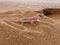 Namibgecko Pachydactylus rangei im Sand der Namib WÃ¼ste,Namibia, Afrika