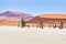 Namibia. Deadvlei clay pan. Namib Naukluft National Park. A dried out dead camel thorn (Vachellia erioloba