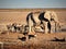 Namibia, Etosha Pan, Elephant and other animals drinking water