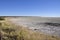Namibia: The Etosha Salt Pans start right here
