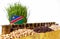 Namibia flag waving with stack of money coins and piles of wheat