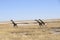 Namibia: Girafs at the boarder of the Etosha salt-pan