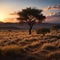 Namibia, landscape of the savannah in the evening, red rocks in background in the Dead Valley made with
