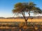 Namibia namib mountains