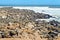 Namibia. Skeleton Coast. Cape fur seal colony at Cape Cross