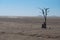 Namibian Desert Art Installation